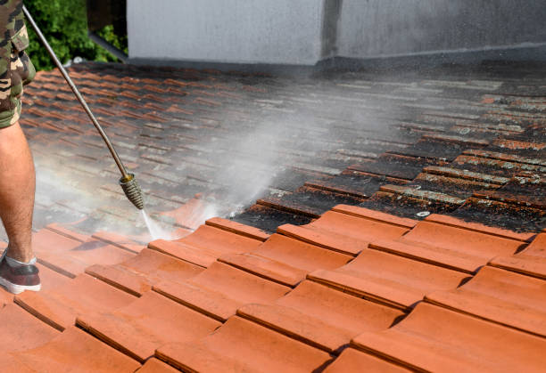 Why Choose Our Certified Pressure Washing Experts for Your Project Needs in Trenton, GA?